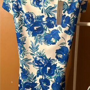 Calvin Klein White and Blue Floral Dress